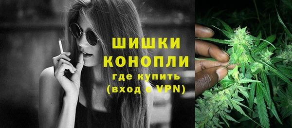 ПСИЛОЦИБИНОВЫЕ ГРИБЫ Абаза