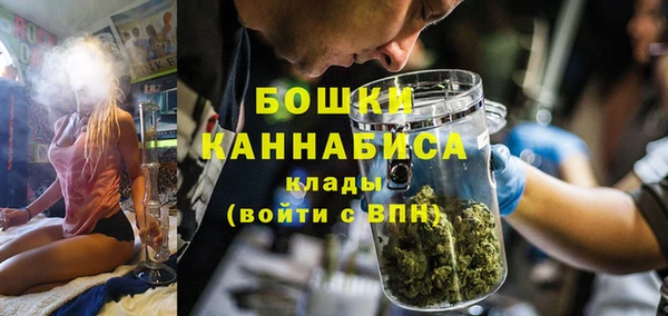 индика Покровск