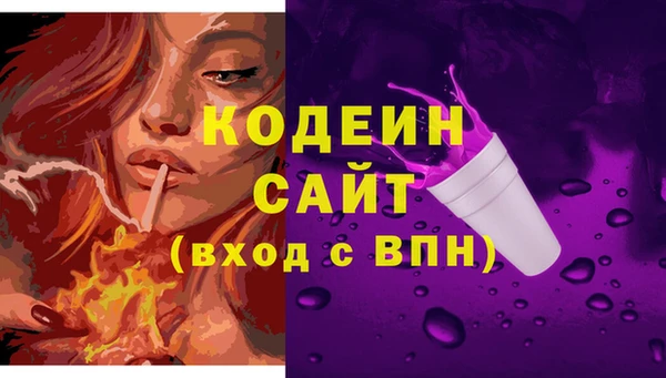 ПСИЛОЦИБИНОВЫЕ ГРИБЫ Абаза