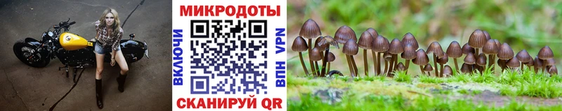 Псилоцибиновые грибы мицелий  Хилок 